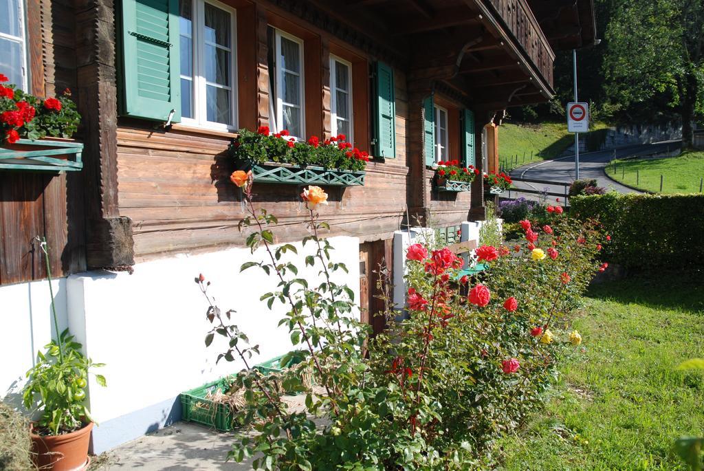 Chalet Tuftbach Grindelwald Exterior foto